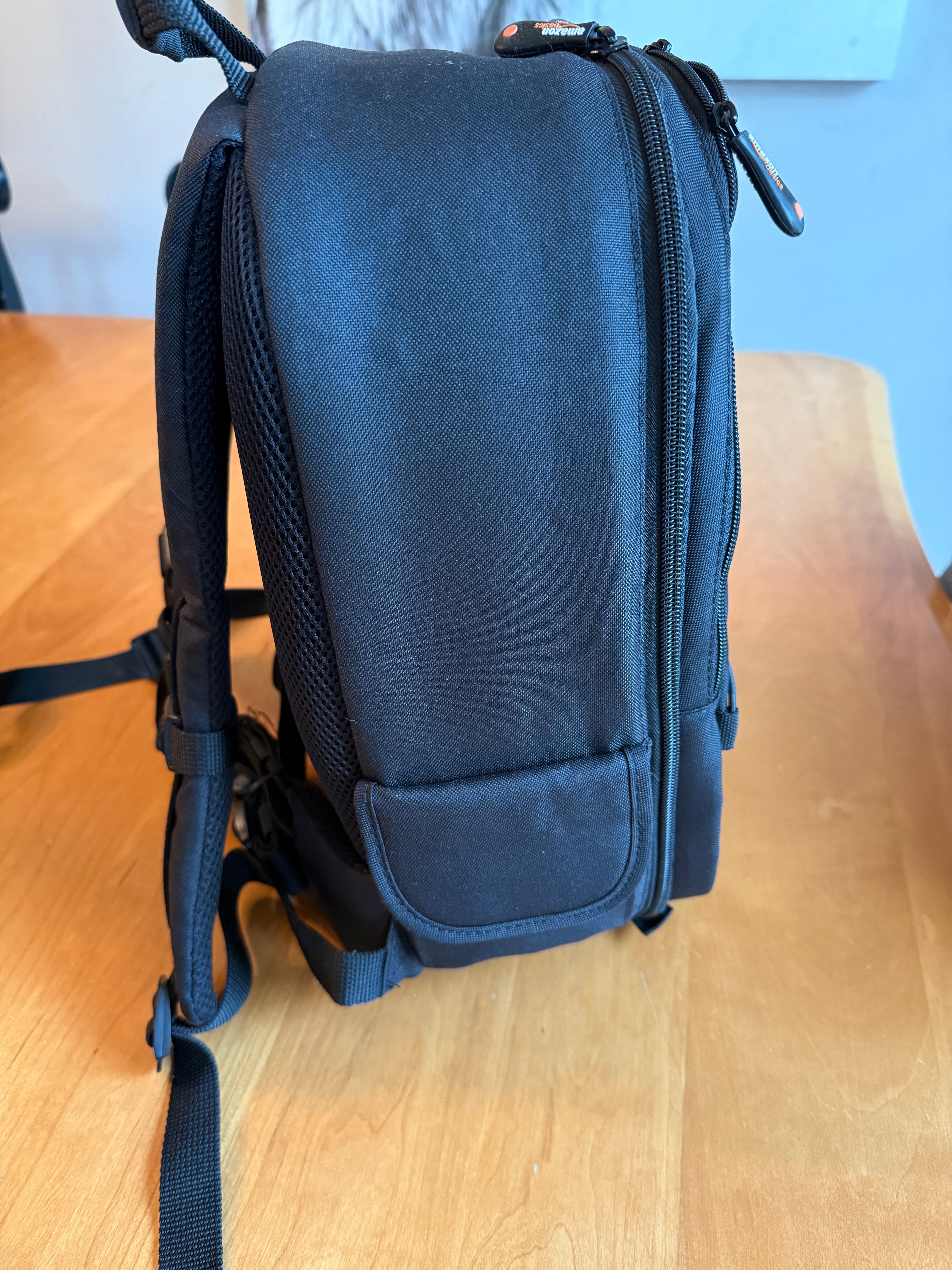 Amazon Basics Backpack for SLR Cameras and Accessories-Solid, Black