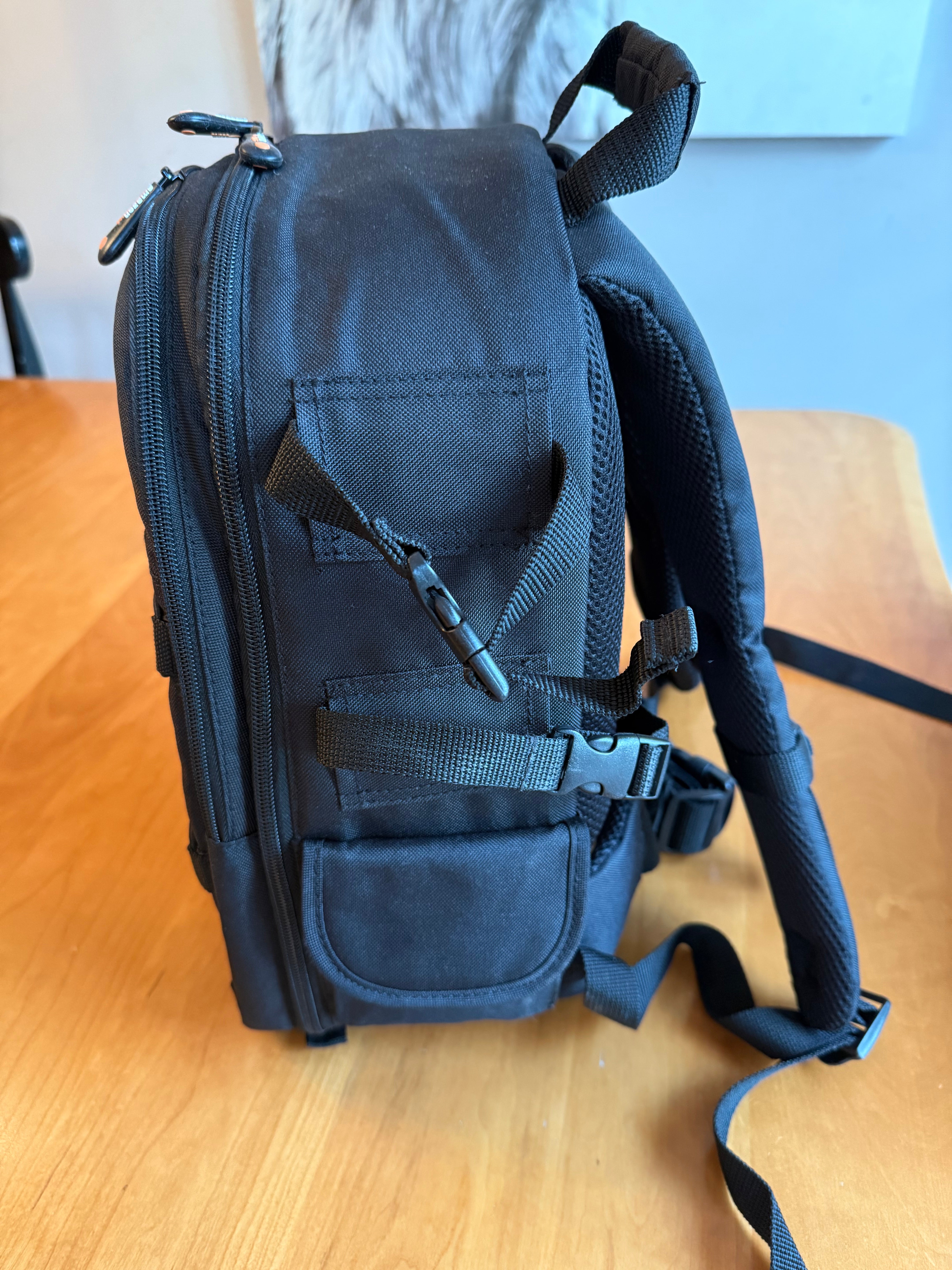 Amazon Basics Backpack for SLR Cameras and Accessories-Solid, Black