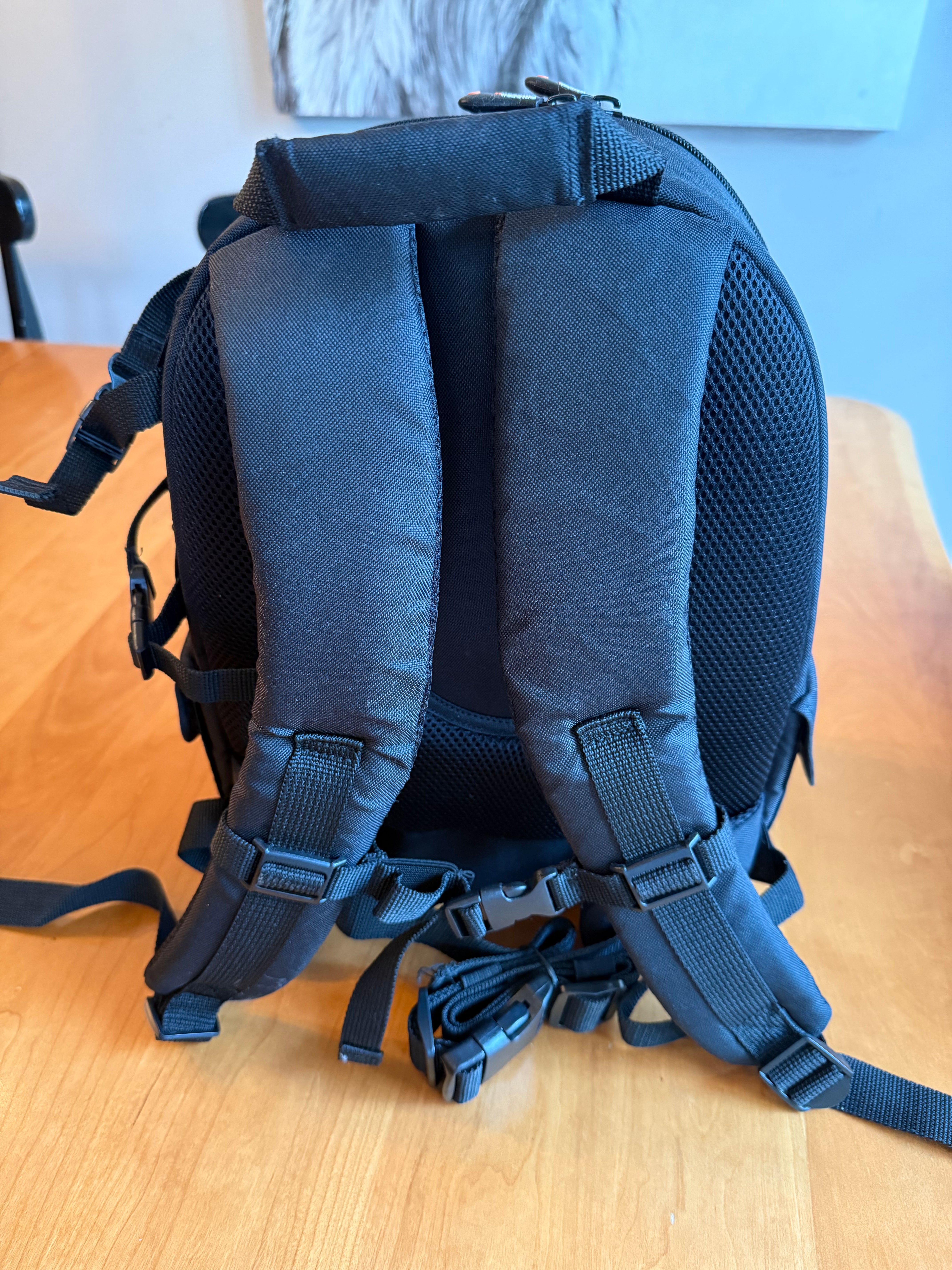 Amazon Basics Backpack for SLR Cameras and Accessories-Solid, Black