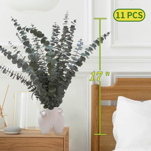 11 PCS Real Dried Eucalyptus for Shower Hanging Decor- 17'' Large Eucalyptus Stems Shower Plants from Fresh Eucalyptus Leaves for Shower, Shower Stuff Green Home Bathroom Vase Decor, DIY