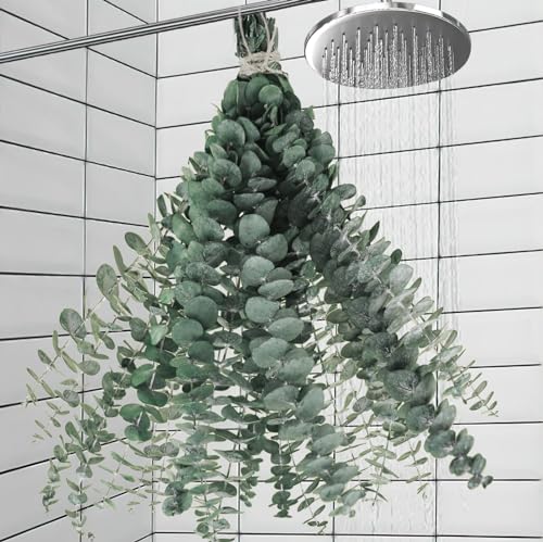 11 PCS Real Dried Eucalyptus for Shower Hanging Decor- 17'' Large Eucalyptus Stems Shower Plants from Fresh Eucalyptus Leaves for Shower, Shower Stuff Green Home Bathroom Vase Decor, DIY