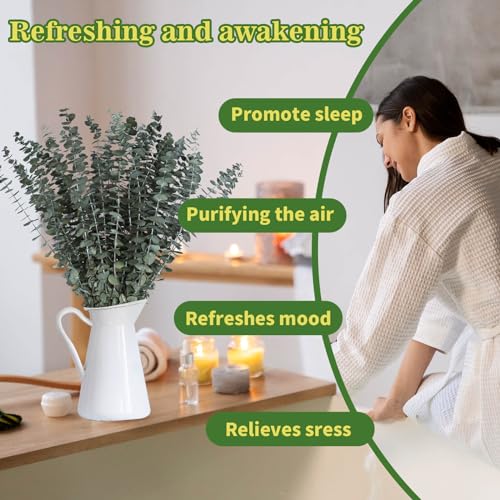 11 PCS Real Dried Eucalyptus for Shower Hanging Decor- 17'' Large Eucalyptus Stems Shower Plants from Fresh Eucalyptus Leaves for Shower, Shower Stuff Green Home Bathroom Vase Decor, DIY